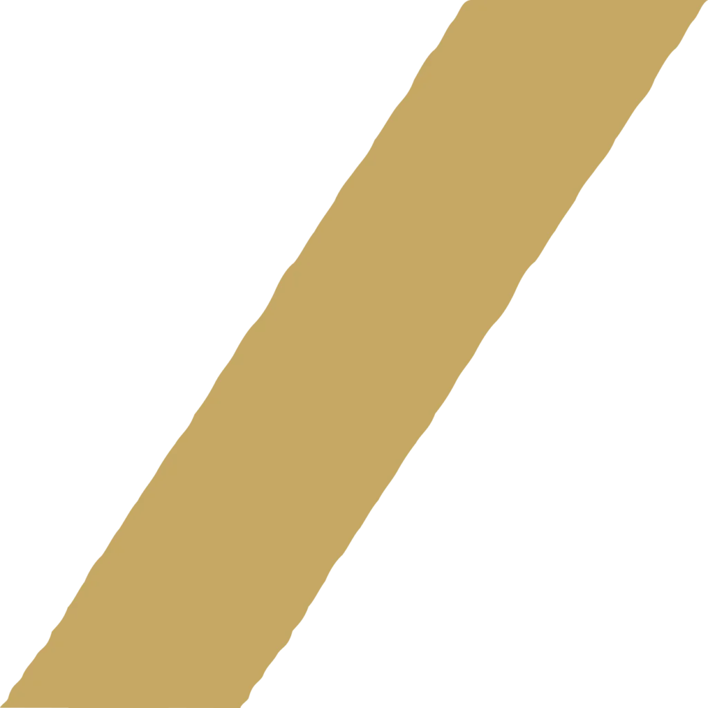 Linea Oro pasta fresca